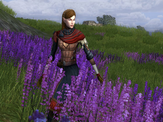 lotro-outfit-134a